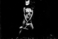 the fox and the ghost