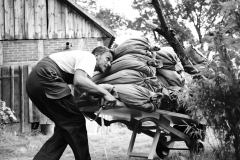 20210903_Kulturpflanzen_Findelhof_20-01-15_low