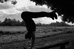 20210910_Kulturpflanzen_Heilpflanzengarten_18-02-30_low