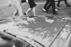 Firmenreportage Zoo Hannover