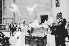 20190524_1226_IMG_9999_16_WEB