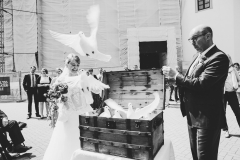 20190524_1226_IMG_9999_21_WEB