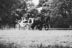 20190524_1404_MM_L0659_WEB