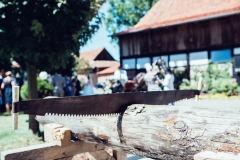 20190629_1418_IMG_9999_674
