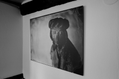 Studio Wandbilder